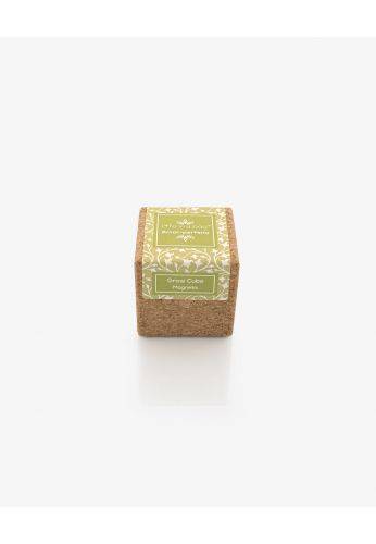 Life In A Bag - Life in a Bag - Grow Cube aimanté Pensée
