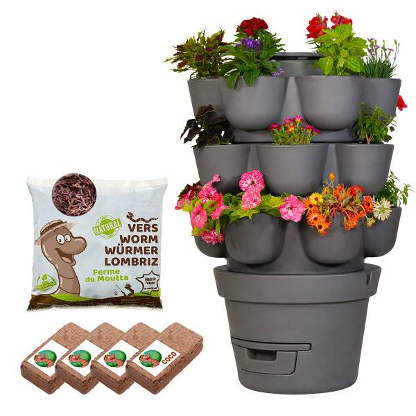 WORMgarden Gris 3 jardinières + 500gr de Vers - Image 1