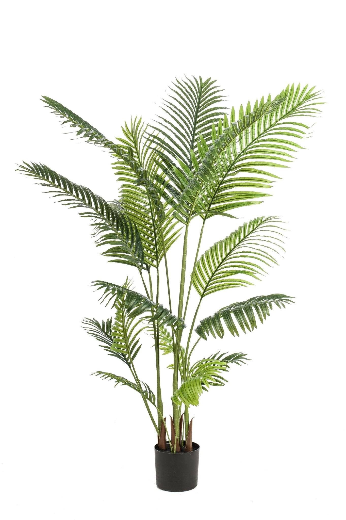 La Green Touch - Howea Forsteriana plante artificielle - h160cm, Ø15cm- La Green Touch - Imagen 6