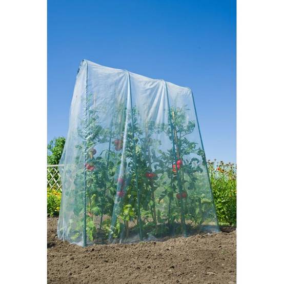Nature - Film de croissance transparent LDPE 70 µ pour tunnel haut 4 x 3,5 m - NATURE - Image 3