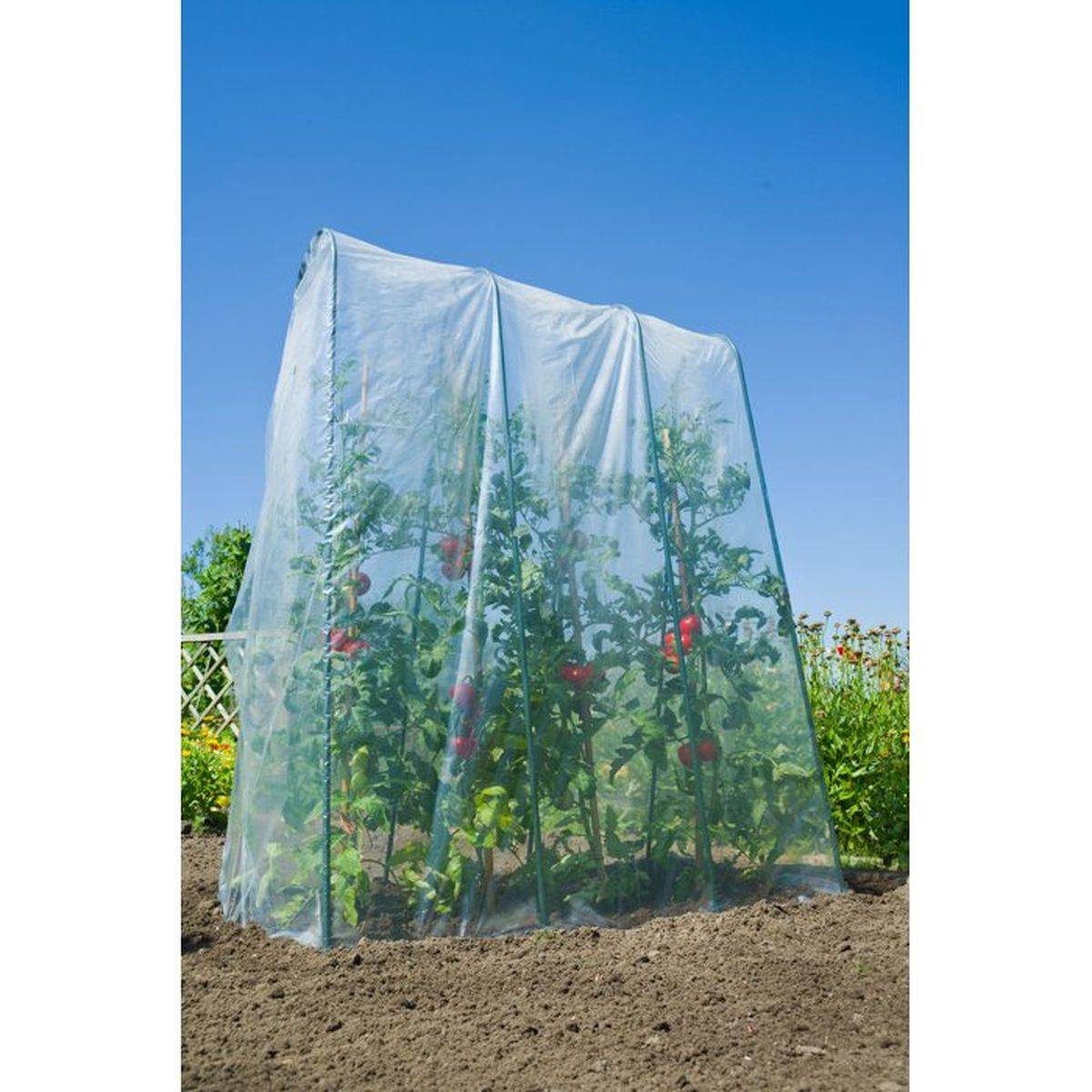 Nature - Film de croissance transparent LDPE 70 µ pour tunnel haut 4 x 3,5 m - NATURE - Image 3