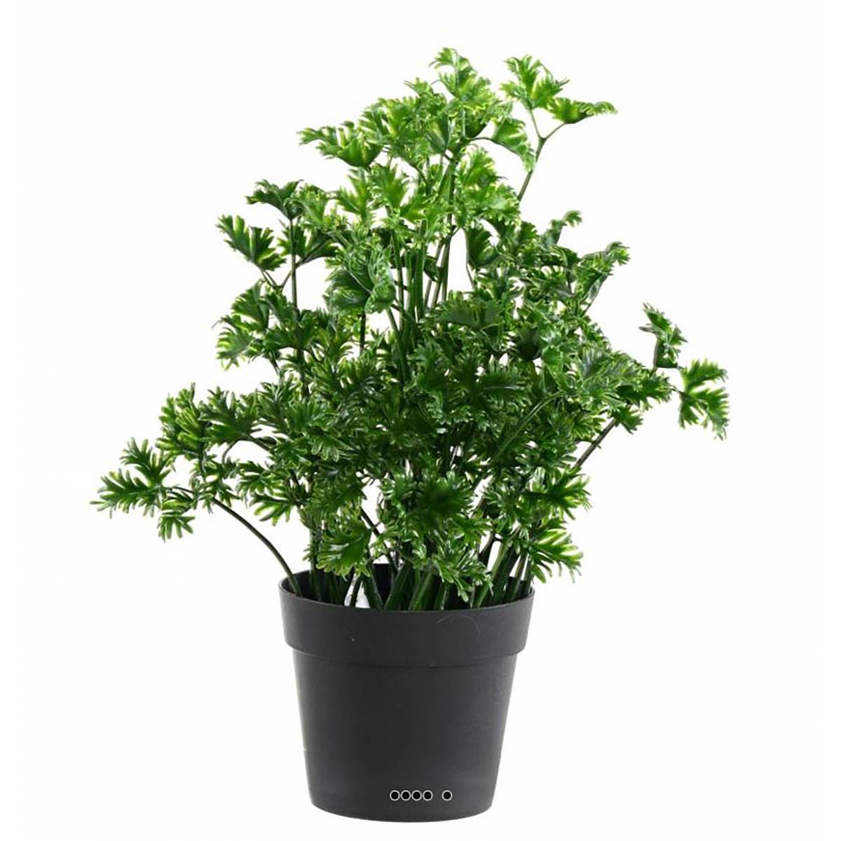Artificielles - Persil artificiel en pot pour extérieur H 25 cm - Imagen 1