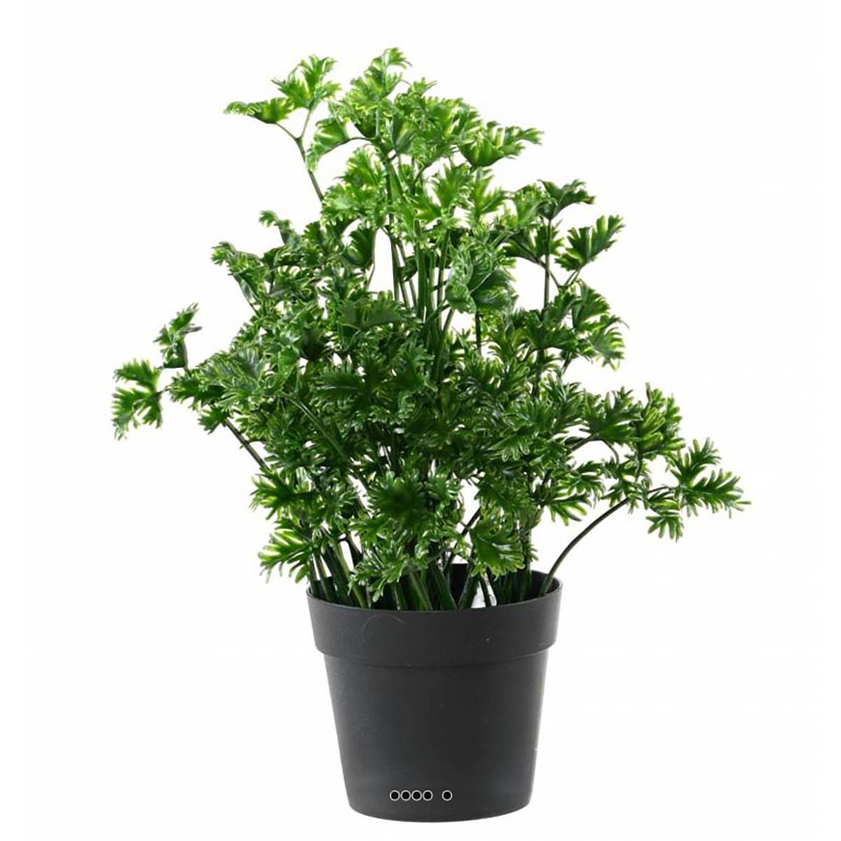 Artificielles - Persil artificiel en pot pour extérieur H 25 cm - Imagen 2