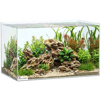 Sans Marque - Aquarium 43L en Verre Trempé avec Tapis de Protection Pour Poissons, Crevettes, Tortues, 50 x 30 x 30 cm, Transparent