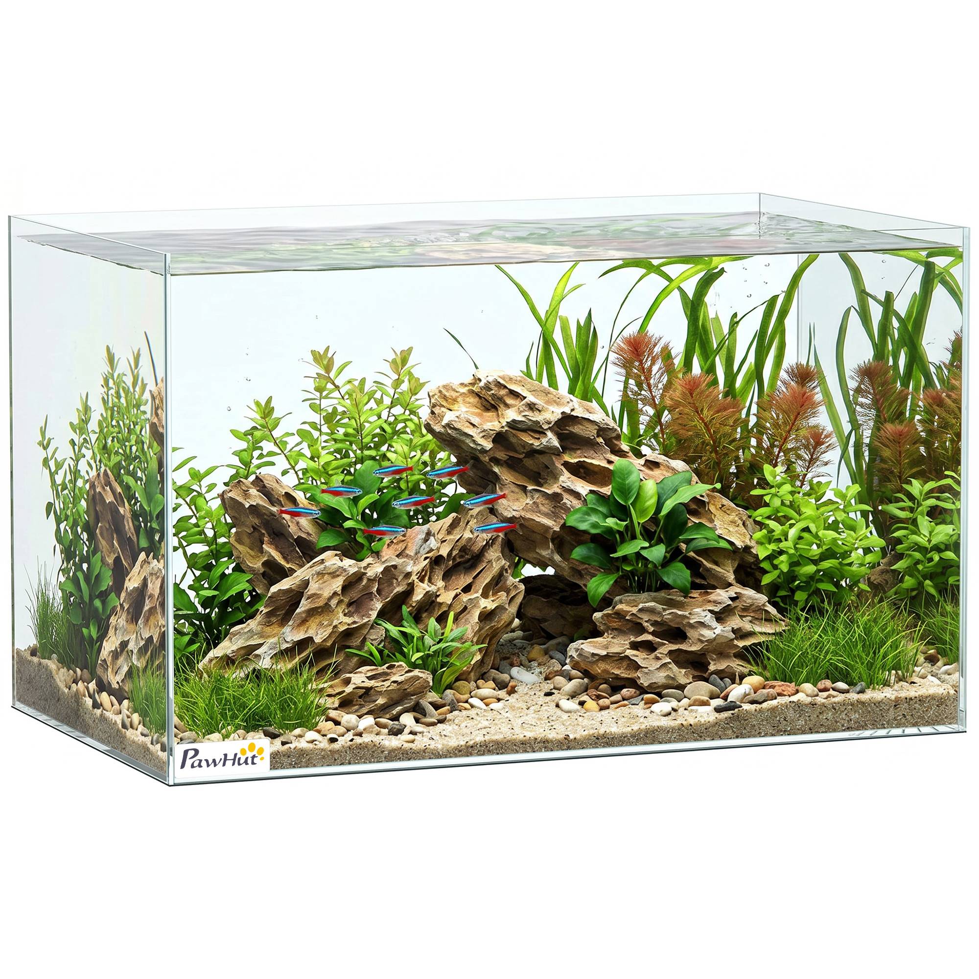 Sans Marque - Aquarium 43L en Verre Trempé avec Tapis de Protection Pour Poissons, Crevettes, Tortues, 50 x 30 x 30 cm, Transparent