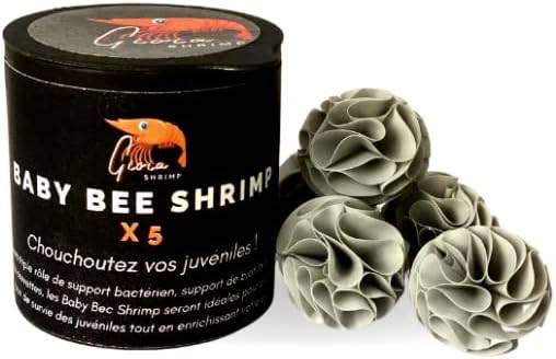 Générique Abri cachette Baby Bee Shrimp pour crevette d'aquarium