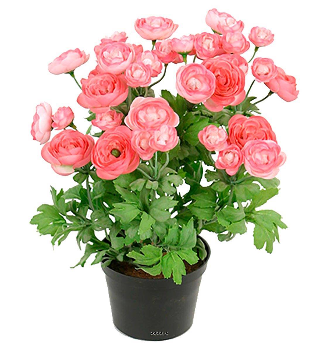Artificielles - Renoncule factice en pot H28cm 32 fleurs lumineuses Rose soutenu - couleur: Rose soutenu - Imagen 1