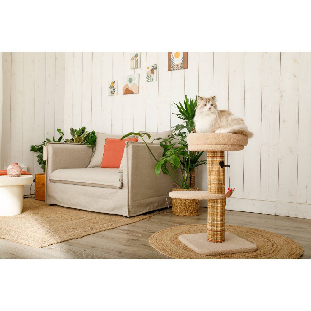 Zolux - Arbre à chat Boréal 70 cm beige pour chat - Image 2