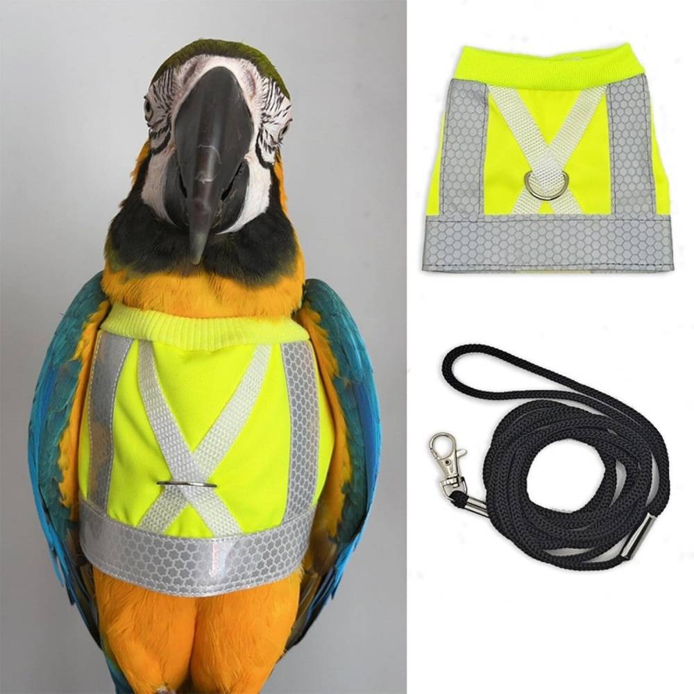 Harnais pour oiseaux DtopbuyAge - Image 3