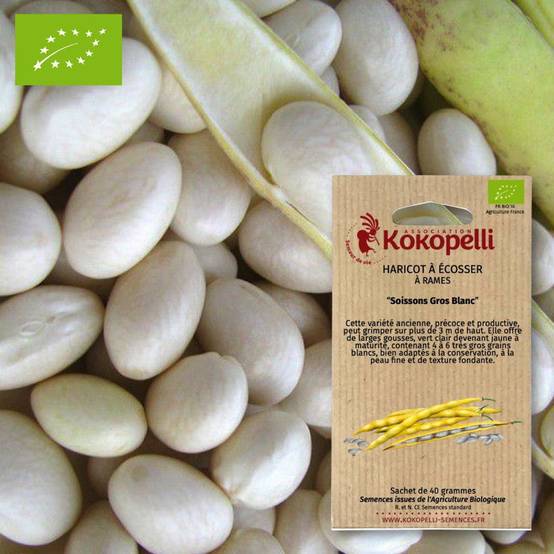 Sachet de graines bio à semer - Haricot Soissons- Association Kokopelli