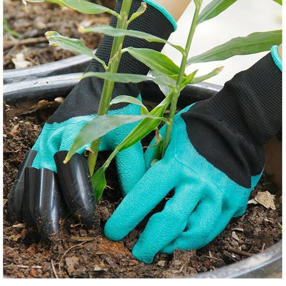 IntiMeg - IntiMeg Gants de protection pour plantation de jardin - Image 5