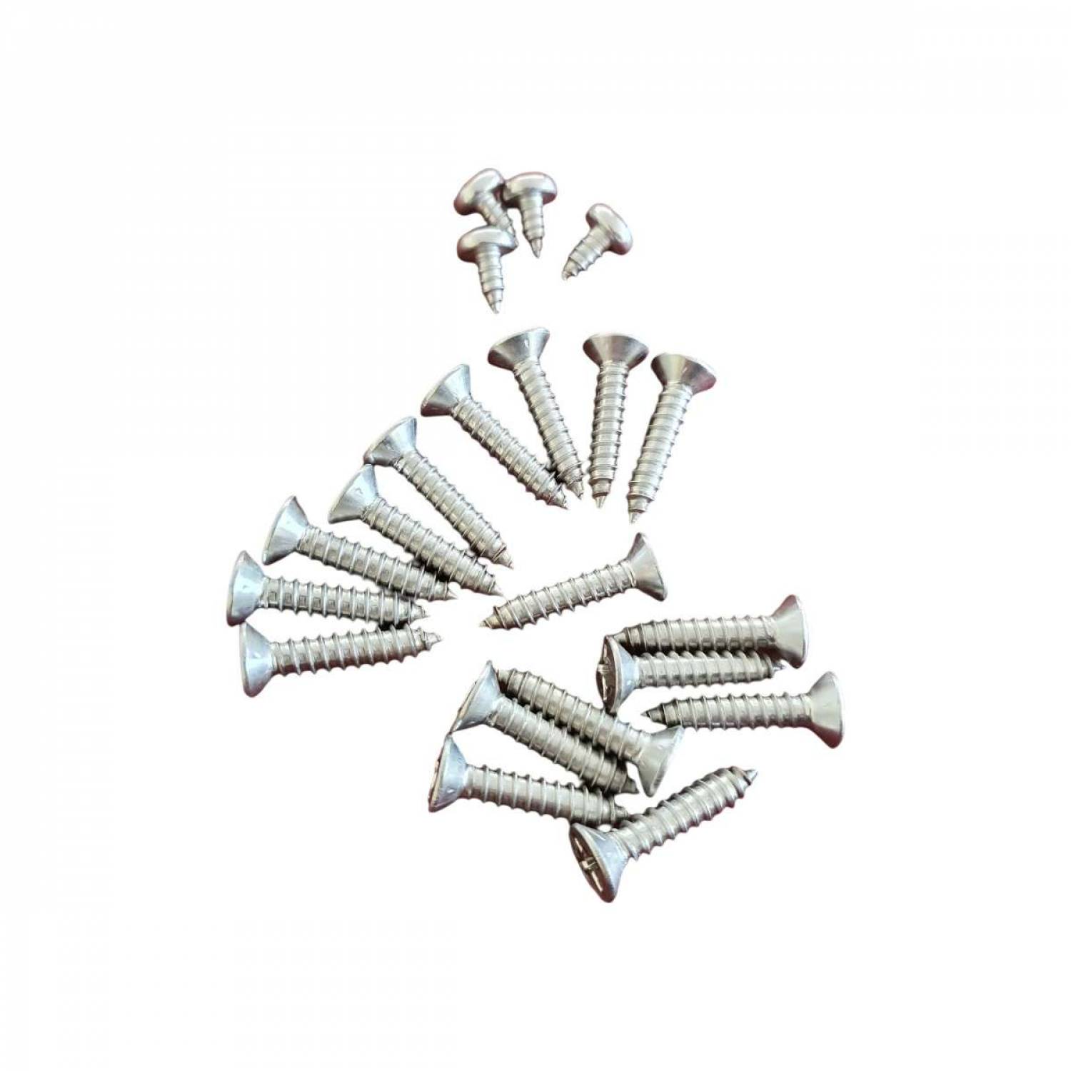Hayward - Lot de 22 vis pour skimmer de piscine Powerline - PWX13 - Hayward