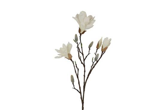 Fleur Magnolia spray Chayca M blanc-10x10x87CM