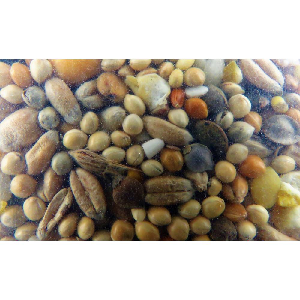 Zolux - zolux - Graines tourterelle nutrimeal - 12kg - Imagen 2