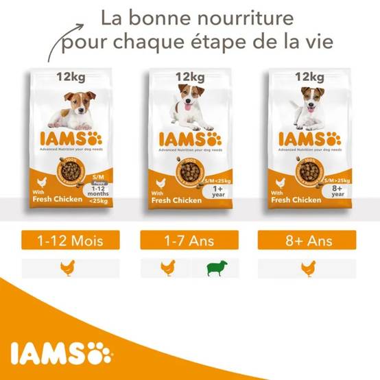 Iams Chien Adulte S/M Agneau 12 kg - Image 6