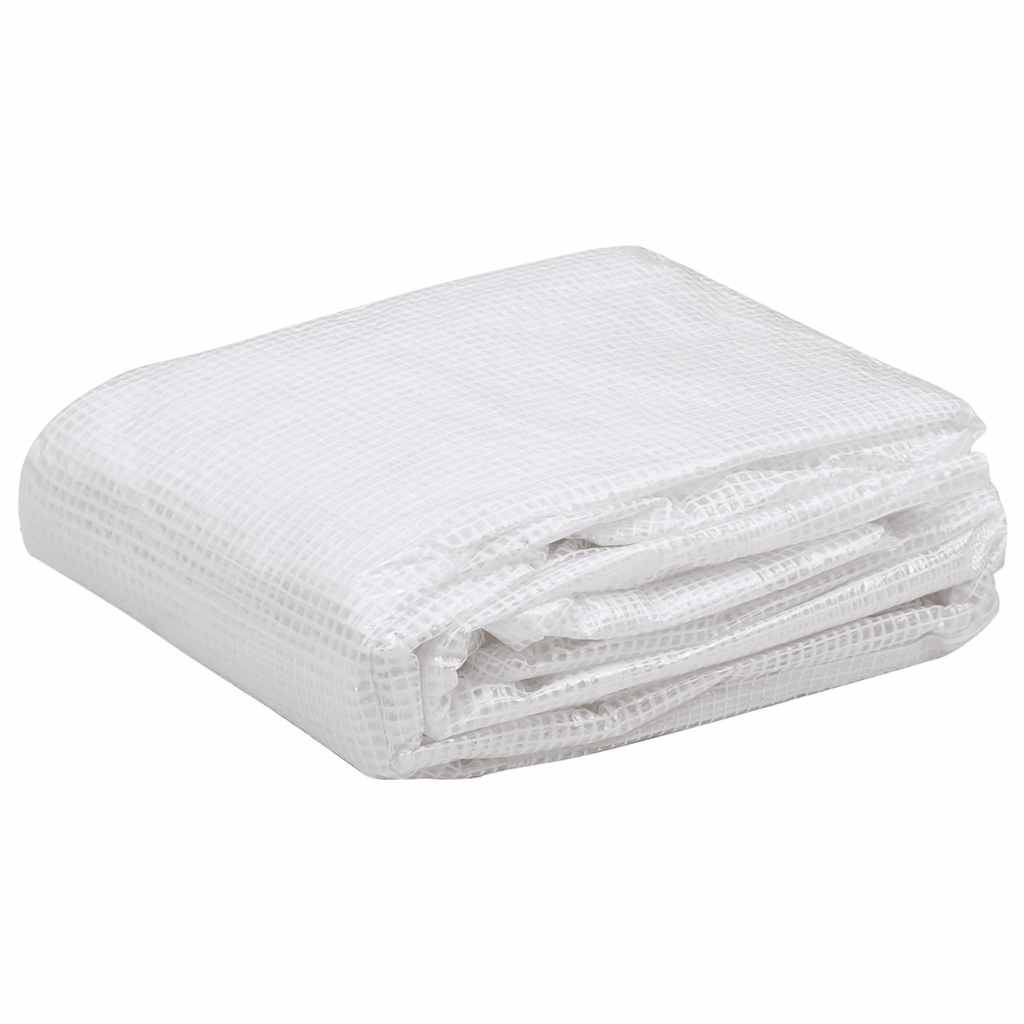 Bâche de Serre Remplacement PE 9m² Jardin Protection Hiver 3x3x2 m Transparent - ComfortXL Outdoor Living - Image 2