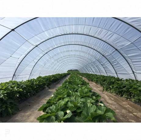 Plastidis - Toile de paillage tissée 130g/m² - Long 100 m, Couleur Marron, Larg 5.25 m - Imagen 10