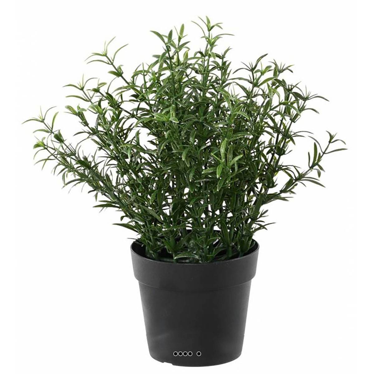 Artificielles - Romarin artificiel en pot pour l'extérieur H 24 cm - Imagen 2