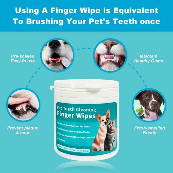 Wipes de nettoyage des dents pour chiens et chats - Image 4