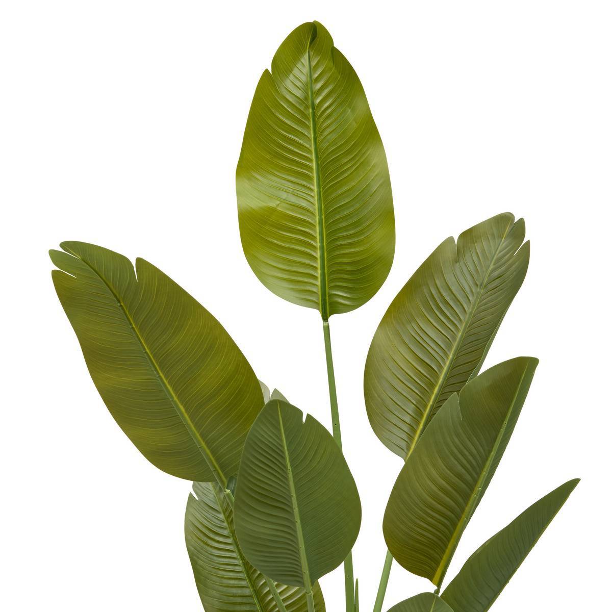 Atmosphera - Bananier Artificielle Lora H140 cm avec Pot Blanc - Atmosphera Créateur d'intérieur - Image 3