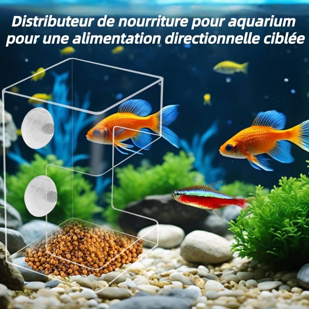 Mangeoire pour Poissons d'Aquarium DtopbuyAge - Image 3