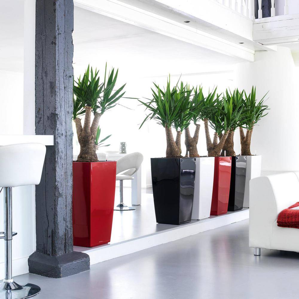 Lechuza - Cubico Premium 40 - kit complet, anthracite métallisé 75 cm Lechuza - Imagen 5