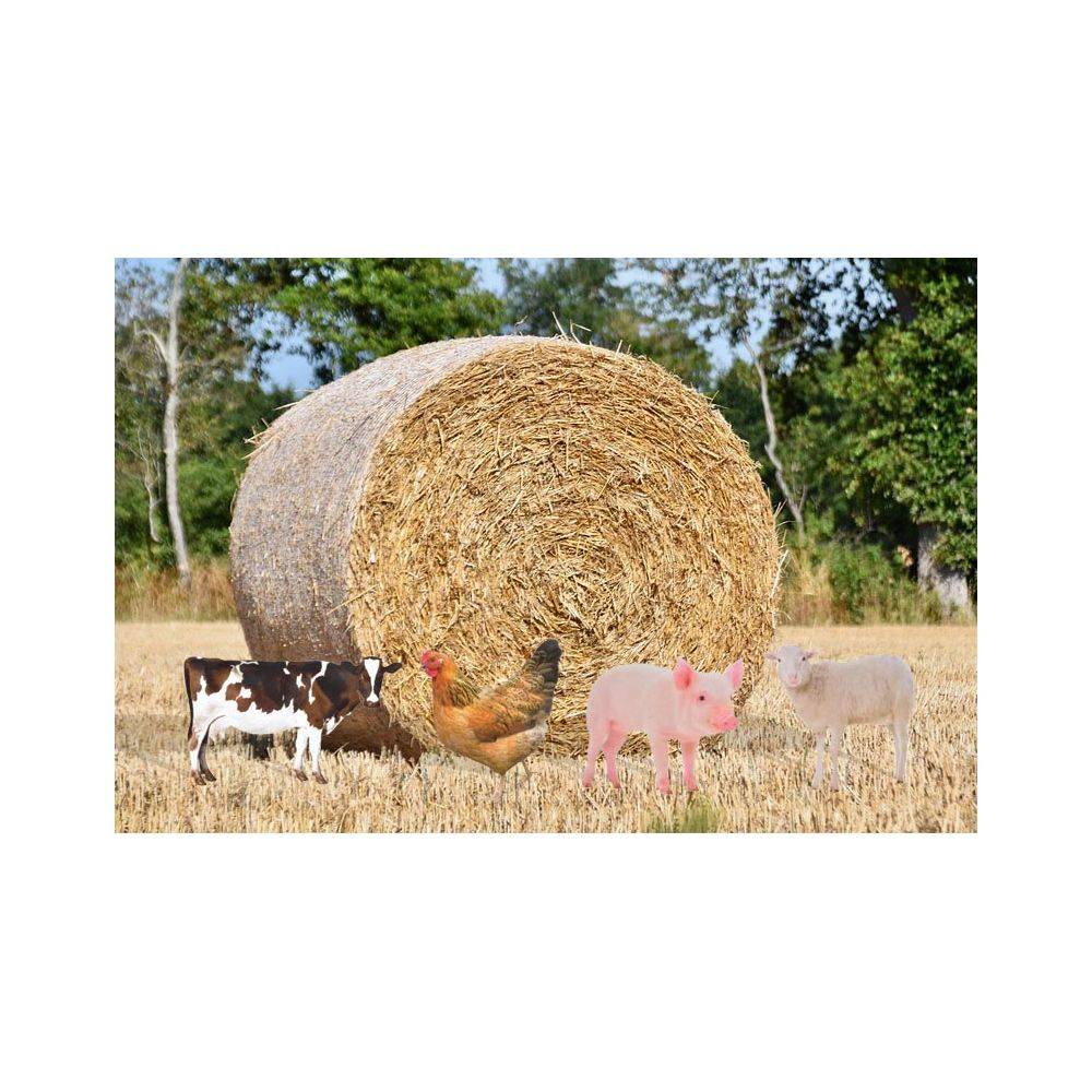 Esschert Design - Animal de la ferme décoratif sur pic (Lot de 2) Esschert Design - Imagen 2