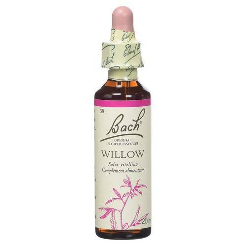 Willow -  Fleurs de Bach n°38 Fleur de Bach