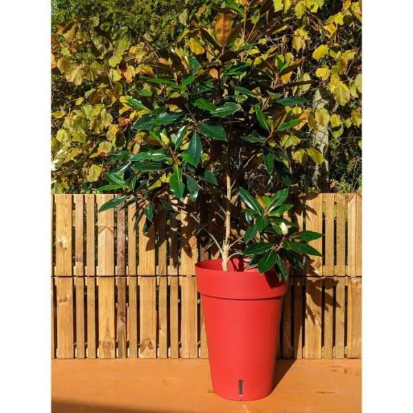 Riss - Bac A Fleurs Riviera Loft Haut 53 - Rouge - Imagen 2