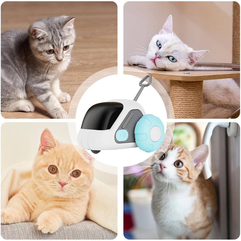 Jouet pour chat télécommandé DtopbuyAge - Image 4