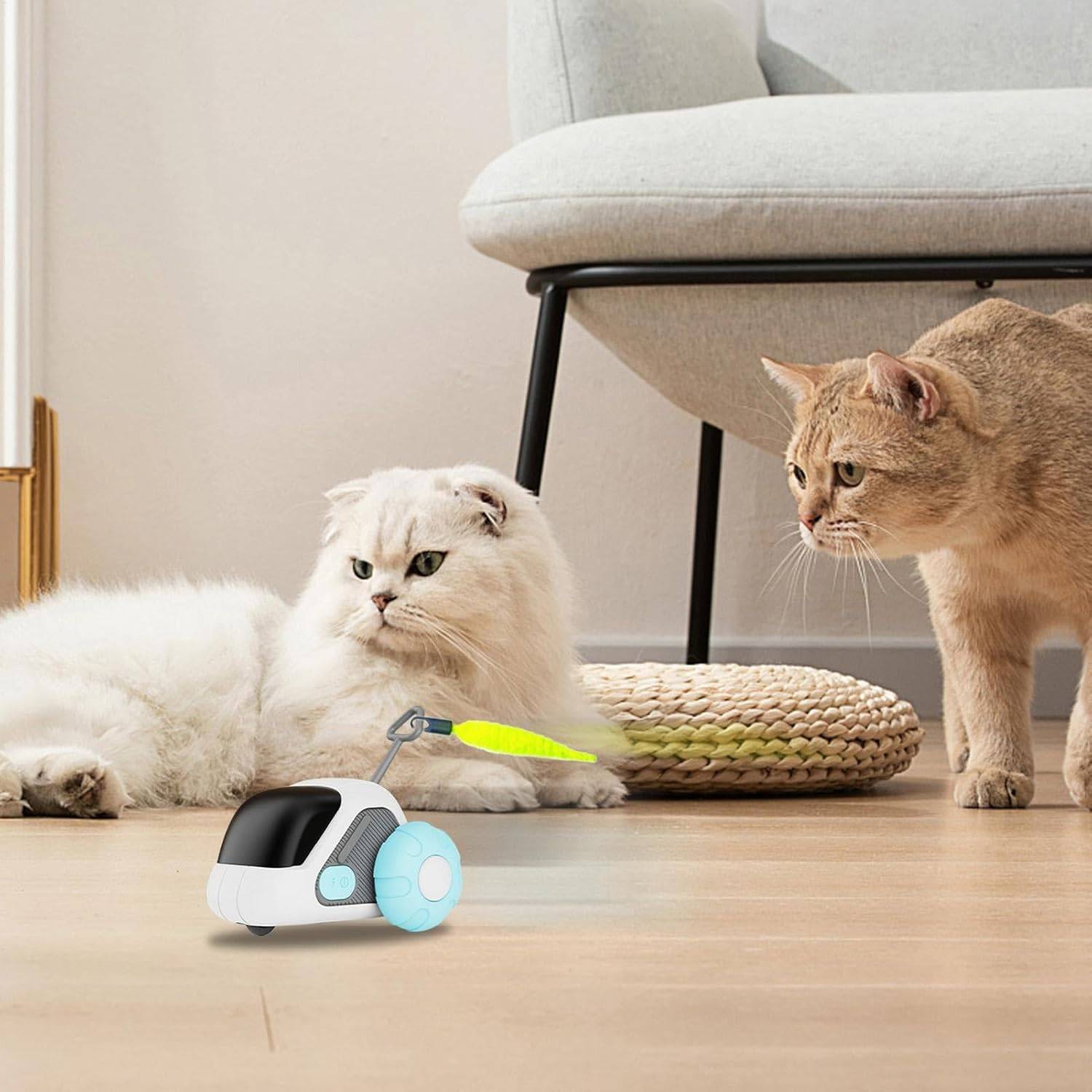 Jouet pour chat télécommandé DtopbuyAge - Image 3