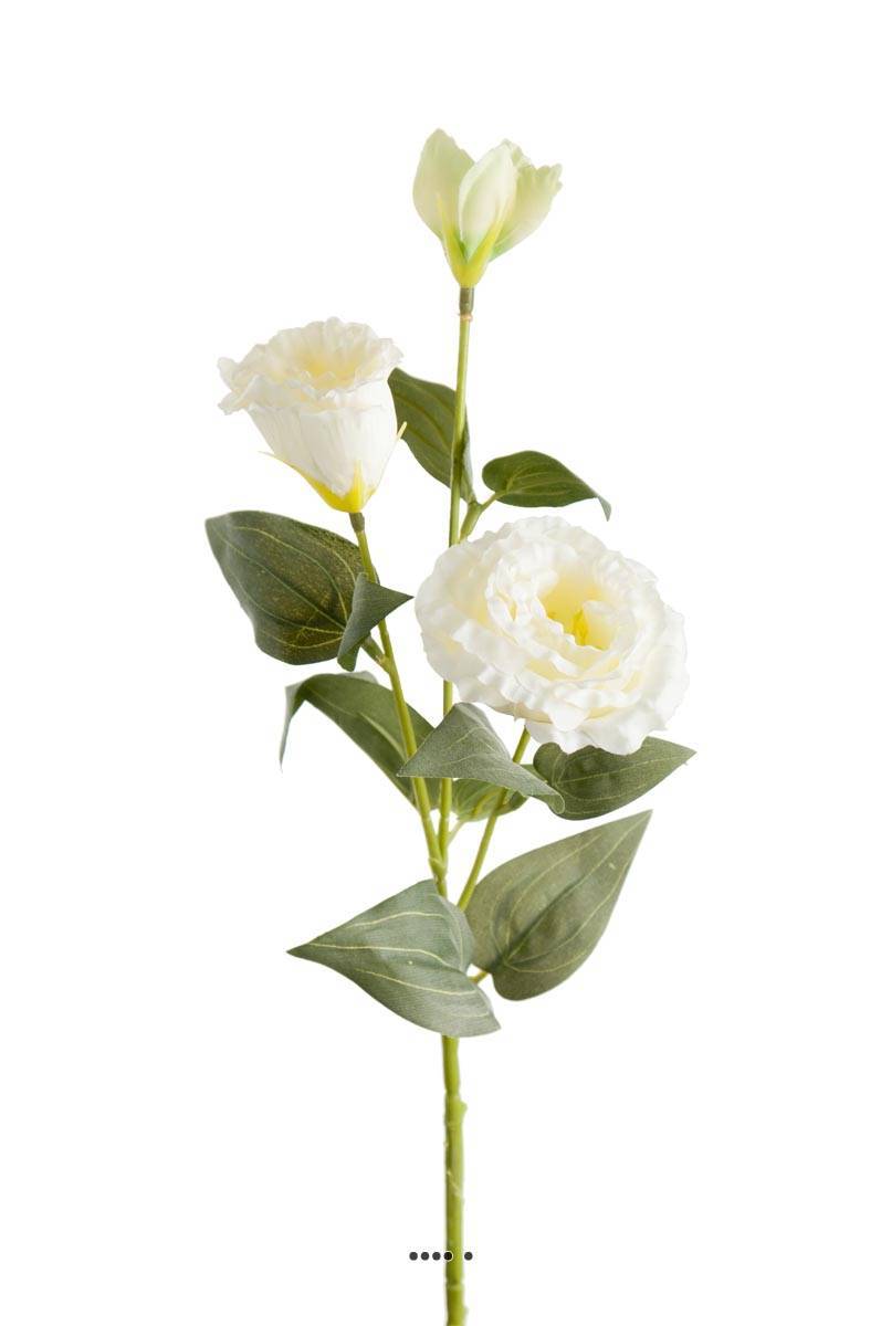 Artificielles - Lisianthus artificiel en tige H70cm D18cm 3 fleurs haut de gamme Crème - couleur: Crème - Imagen 1