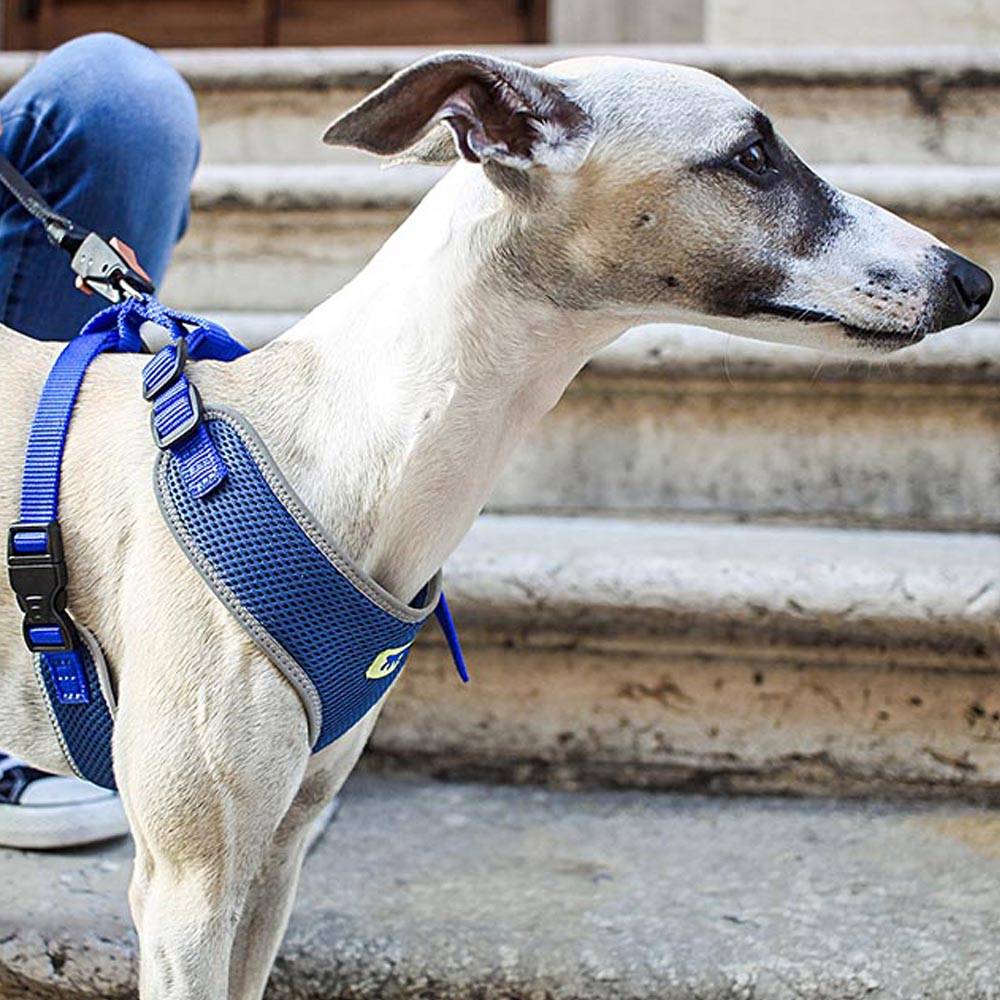 Ferplast - Ferplast Harnais Chien Taille Moyenne NIKITA M, Harnais pour Chien Respirant, Rembourré et Ajustable, Facile à Porter, Bords Réfléchissants, Poitrine - Imagen 4