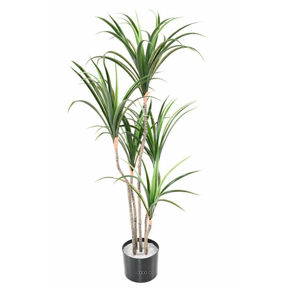 Artificielles - Dracaena marginata artificiel en pot H 130 cm