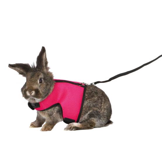 Trixie - Harnais doux avec laisse 1,2 m pour grand lapins - couleur aléatoire - Image 1