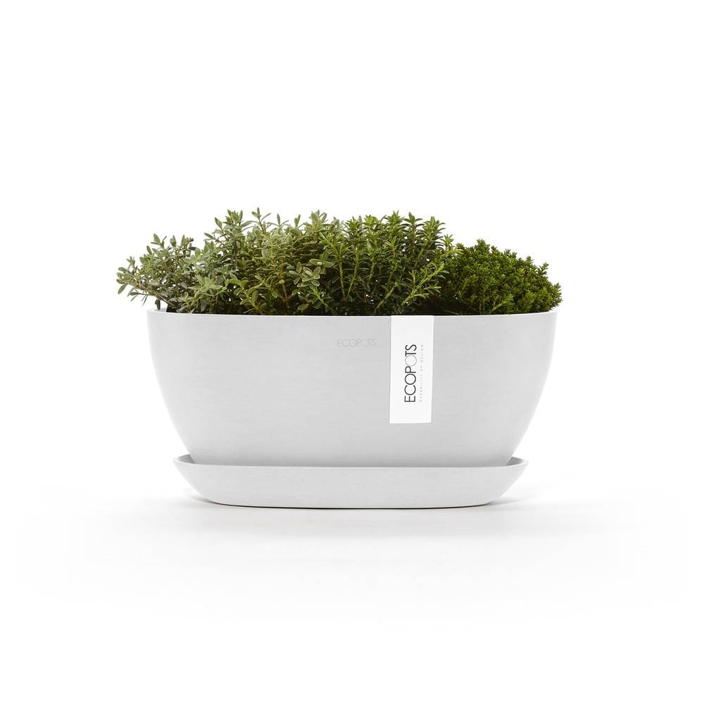 Ecopots - Pot Ovale Sofia 30 + Soucoupe - 30 x 13 x H. 13,9 cm - 2,7 L ECOPOTS - Imagen 2