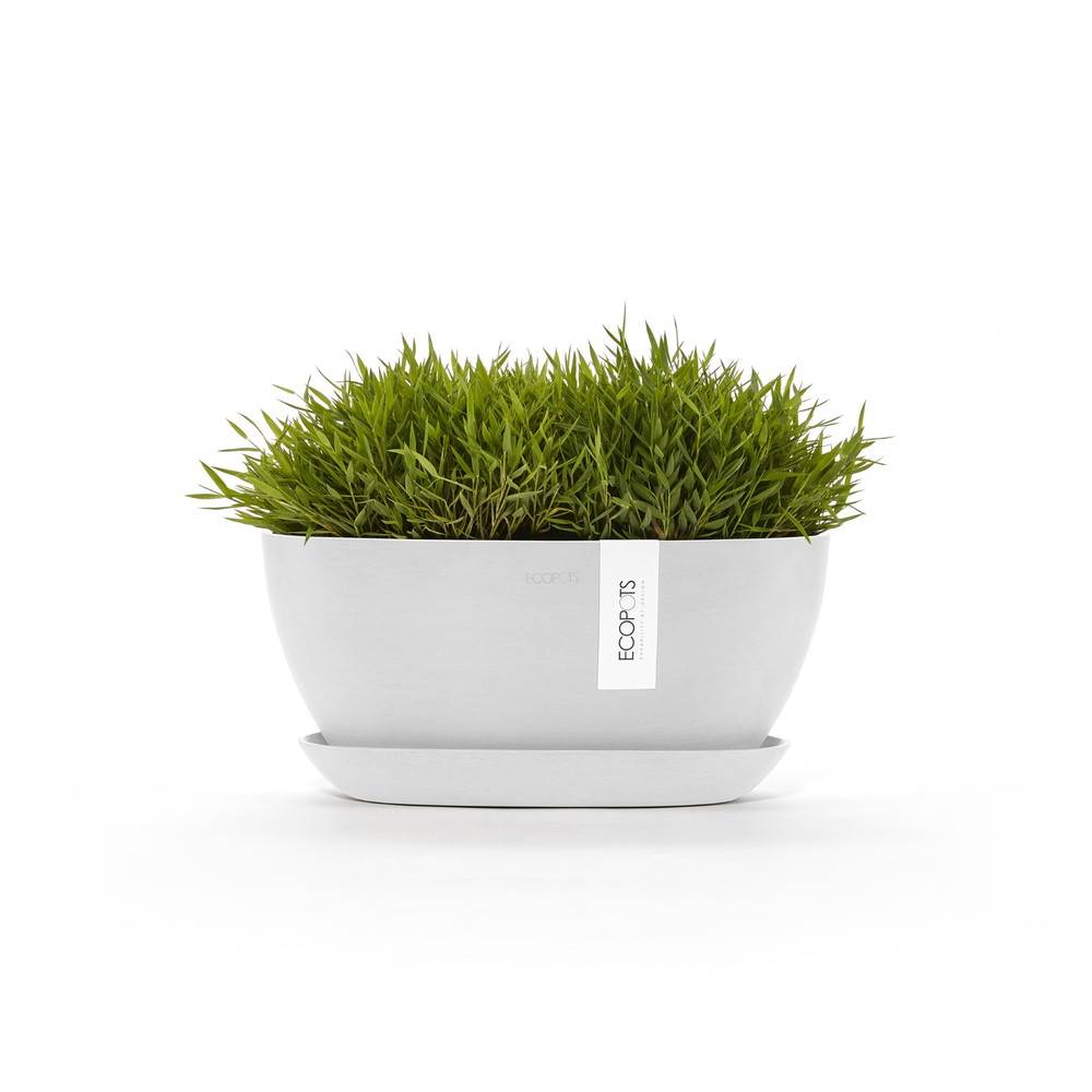 Ecopots - Pot Ovale Sofia 30 + Soucoupe - 30 x 13 x H. 13,9 cm - 2,7 L ECOPOTS - Imagen 1