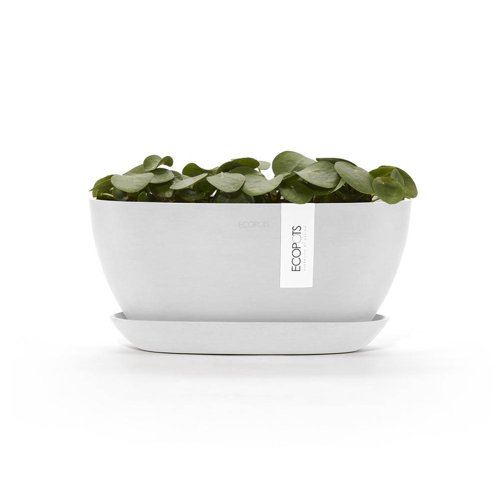Ecopots - Pot Ovale Sofia 30 + Soucoupe - 30 x 13 x H. 13,9 cm - 2,7 L ECOPOTS - Imagen 3