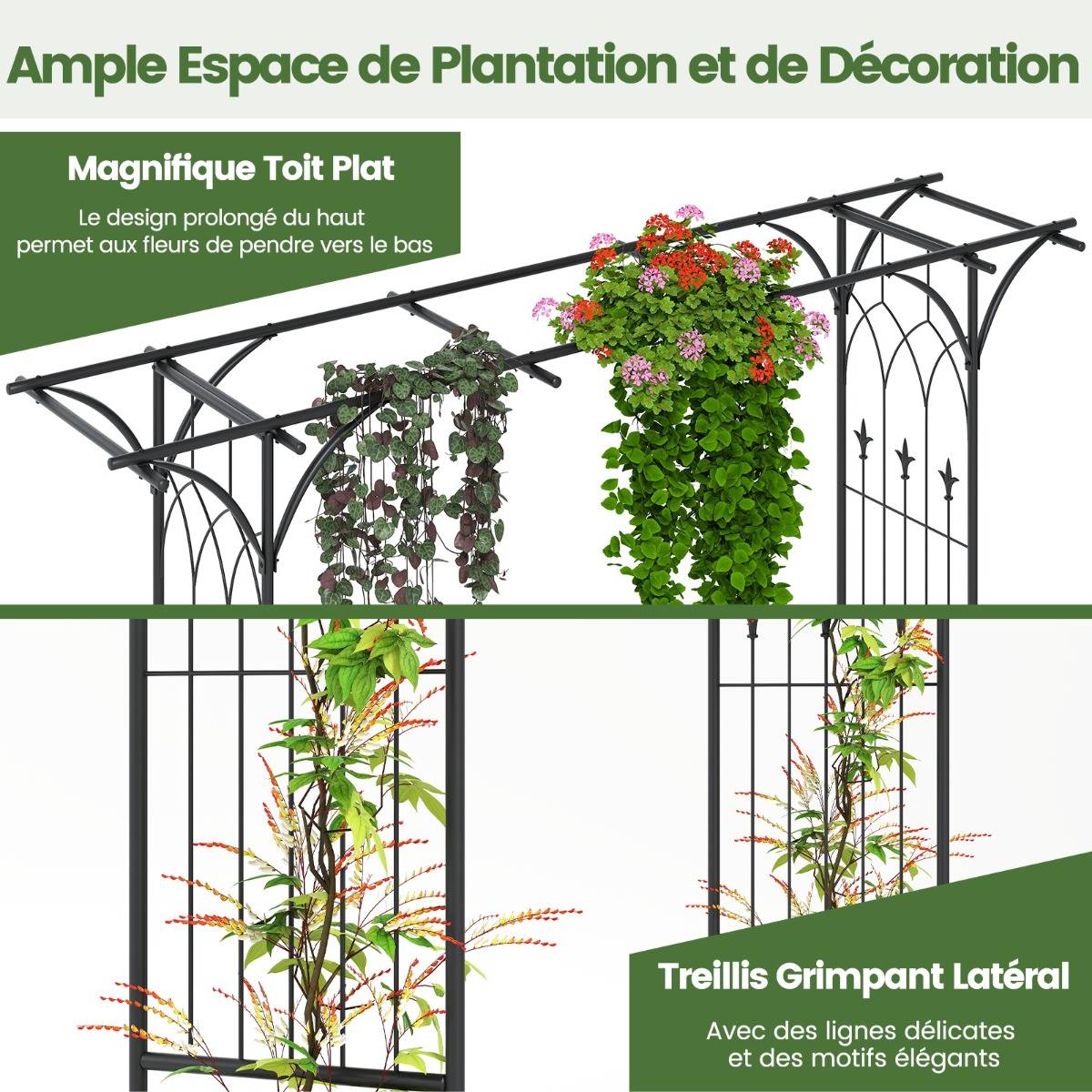 Arche de Jardin Métal Arceau à Rosiers en Treillis Extérieur 205x52x206CM noir - Image 6