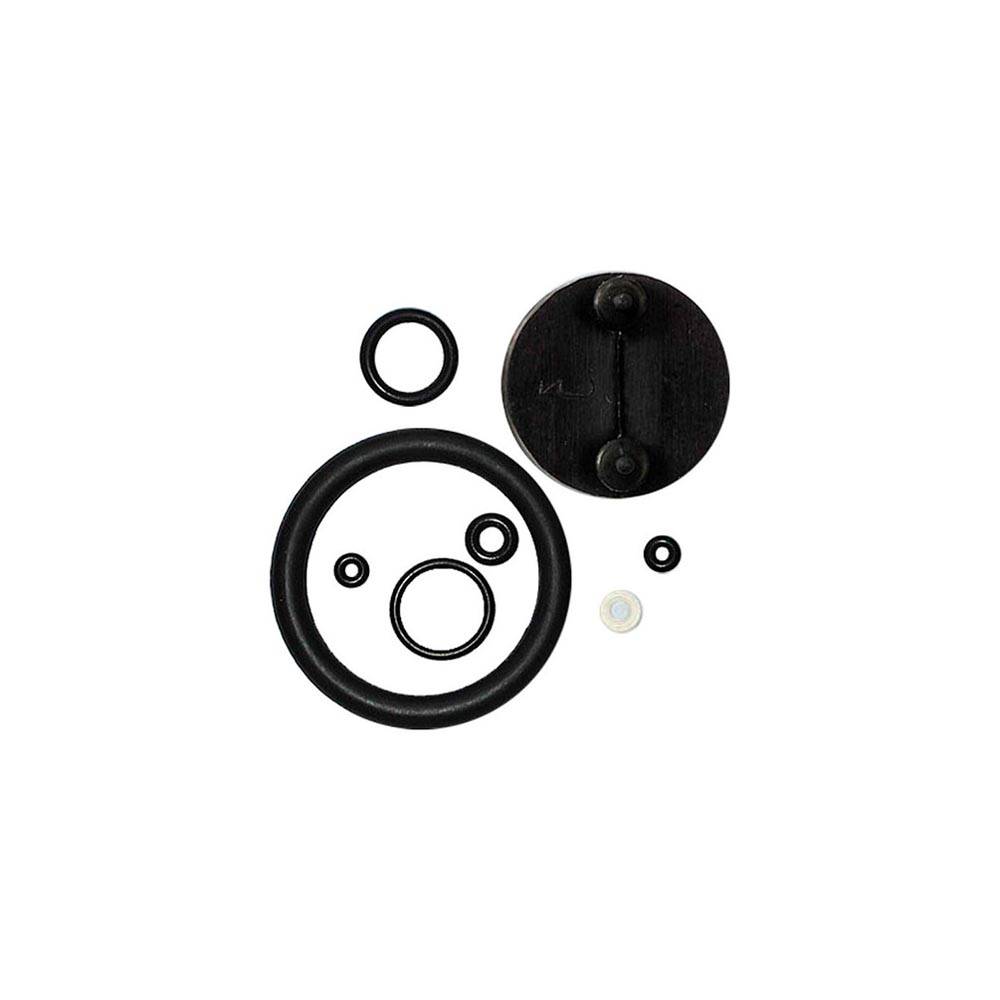 Ribimex - Kit joints de pulvérisateur à pression (Agressif)