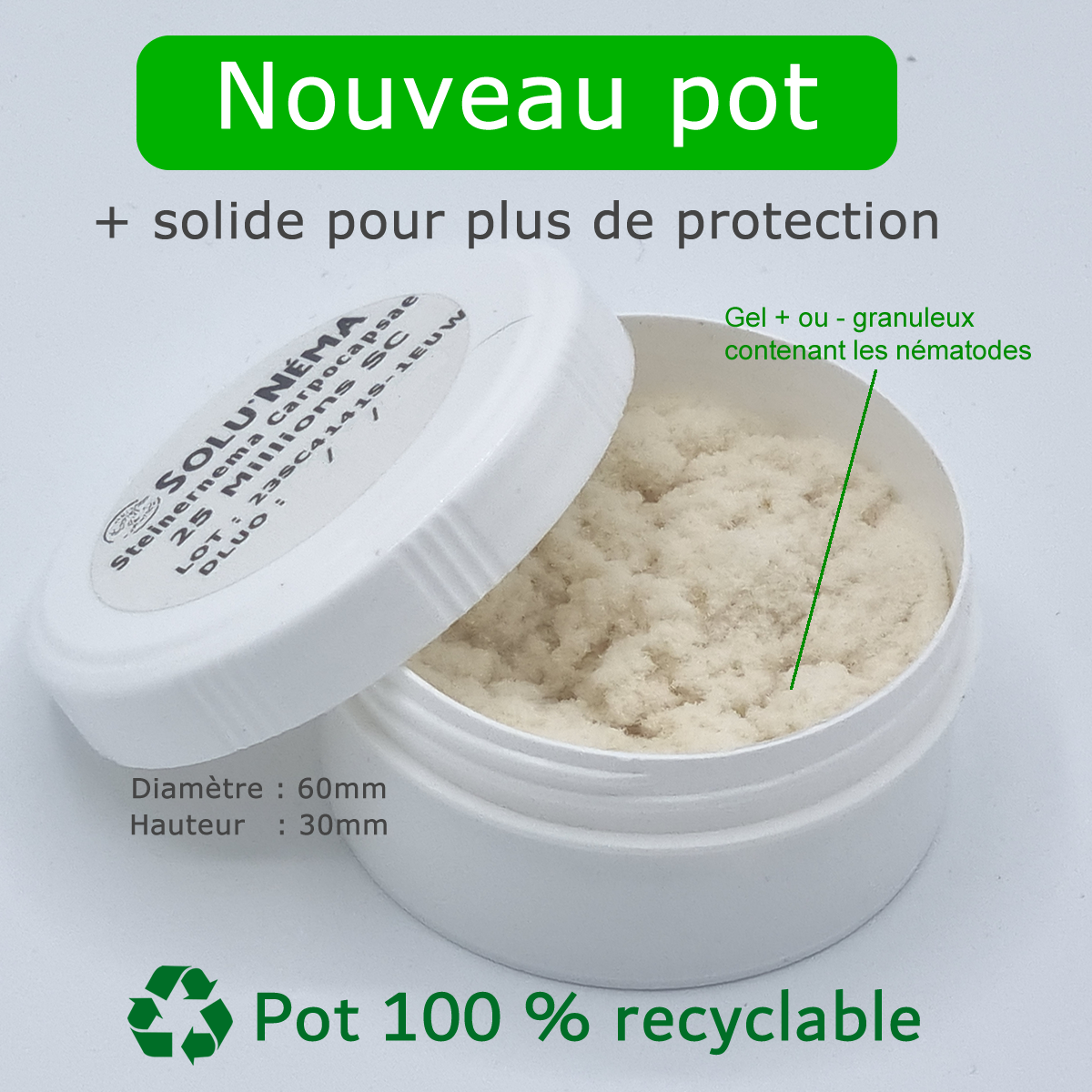 SOLUNEMA Nématodes 25 Millions – Lutte Bio Contre Papillon Du Palmier & Charançon Rouge (1-3 Palmiers)
