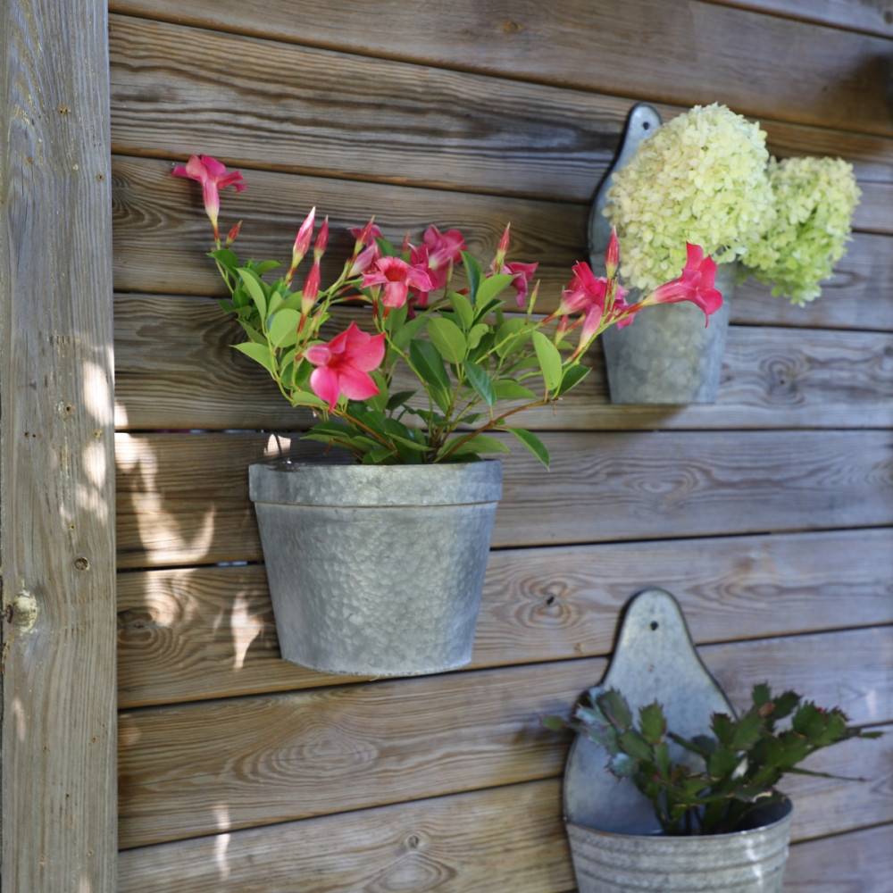 Set2 Jardinière extérieure murale porte fer forgé vintage gris 21-24cm Chemin de campagne - Imagen 2