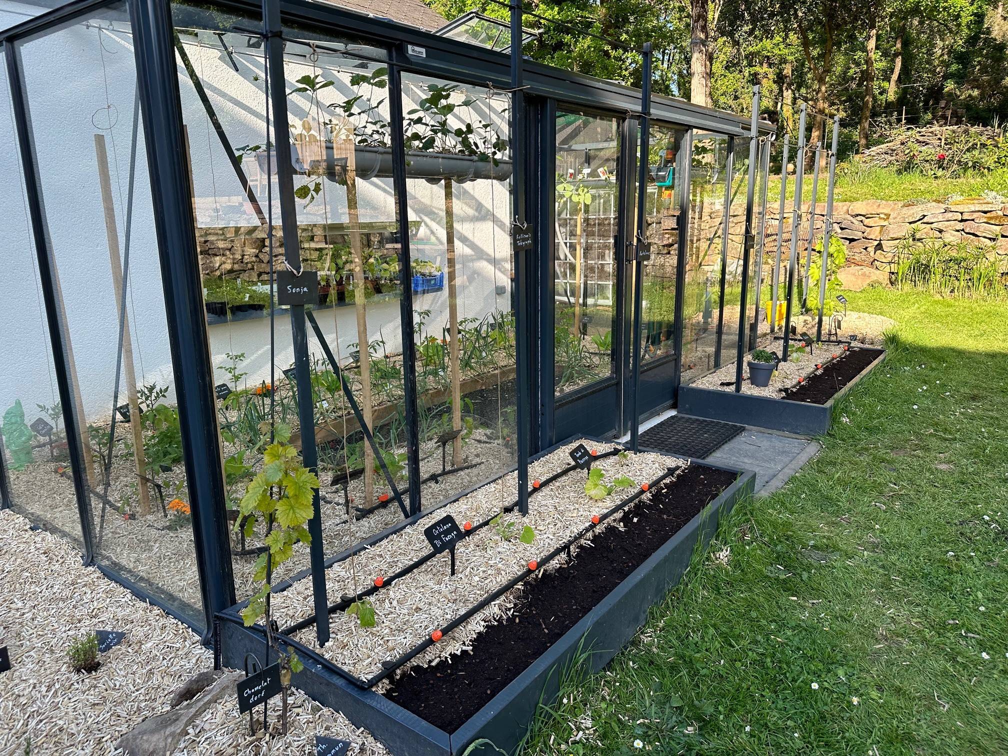 15m²  -  Serre en polycarbonate 8 mm alvéolés  - Euro Murale serre adossée - Laquée - 15m² - vert jonc - L'atelier Des Serres - Imagen 4