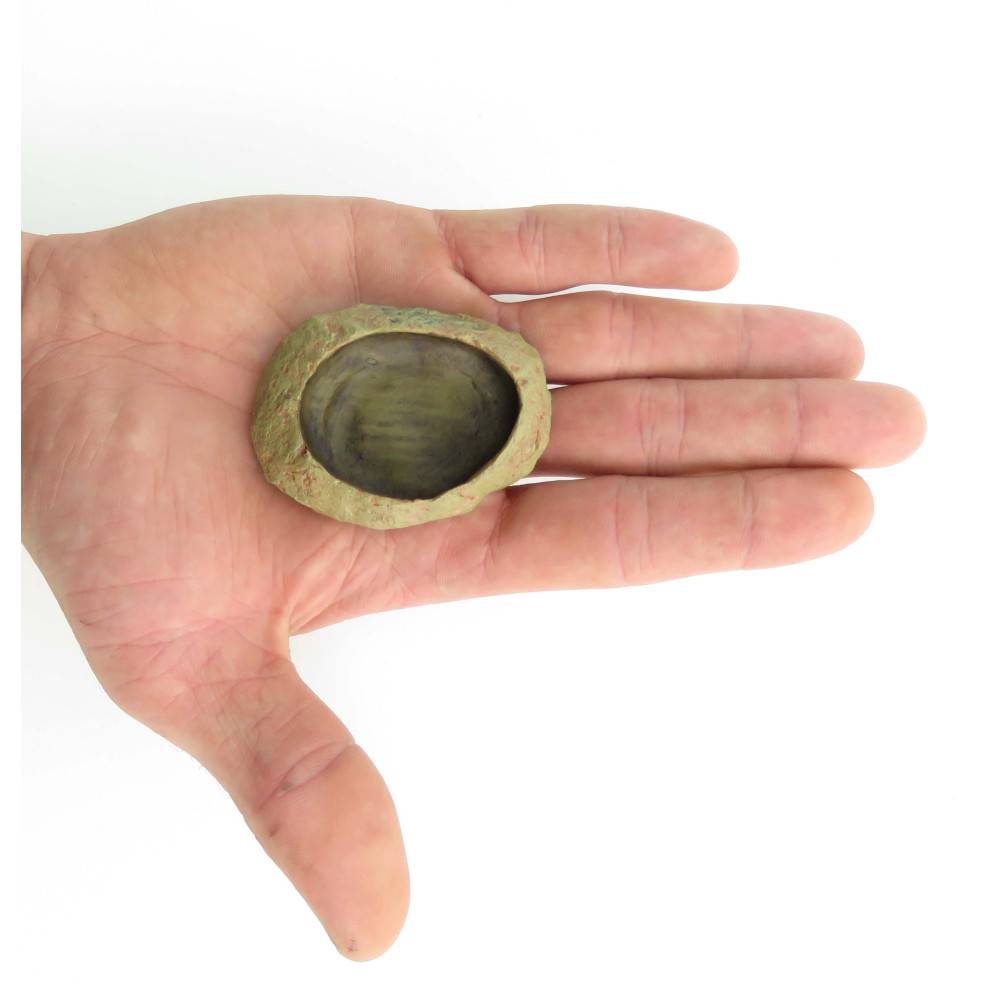 Trixie - Trixie - Ecuelle pour eau et nourriture pour reptile 6 × 4,5 cm H1.5 - Imagen 2