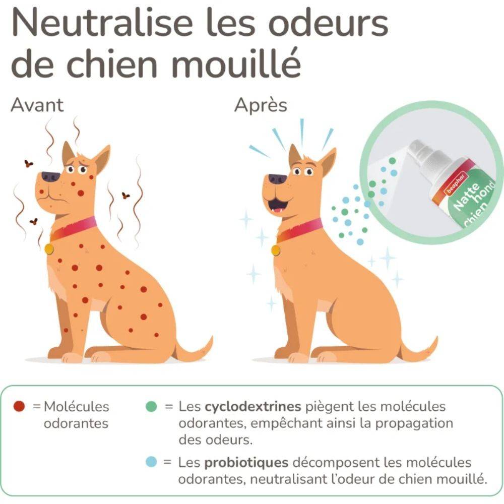 Spray Chien Mouillé - Anti-Odeur Beaphar 250 - Image 3