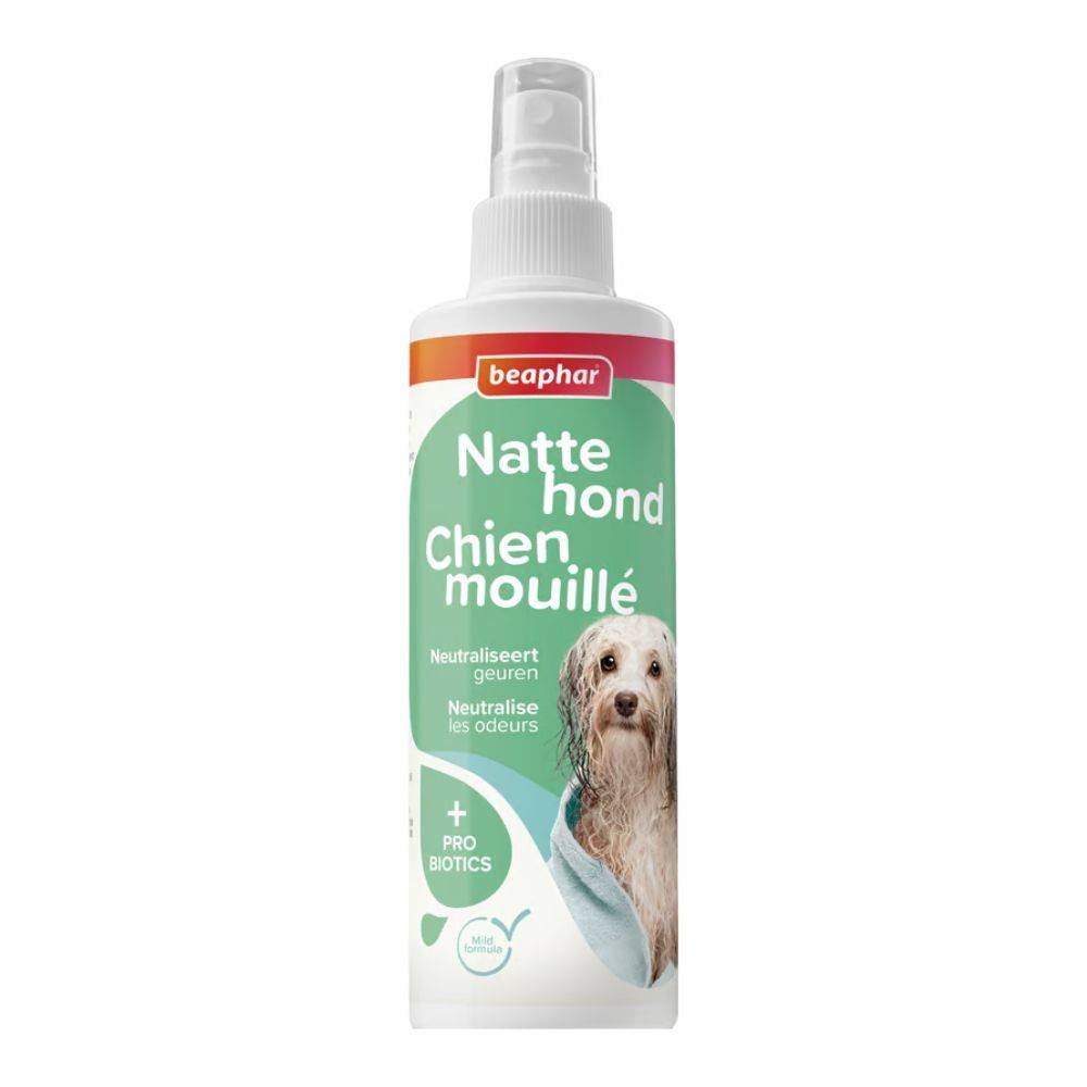 Spray Chien Mouillé - Anti-Odeur Beaphar 250 - Image 1