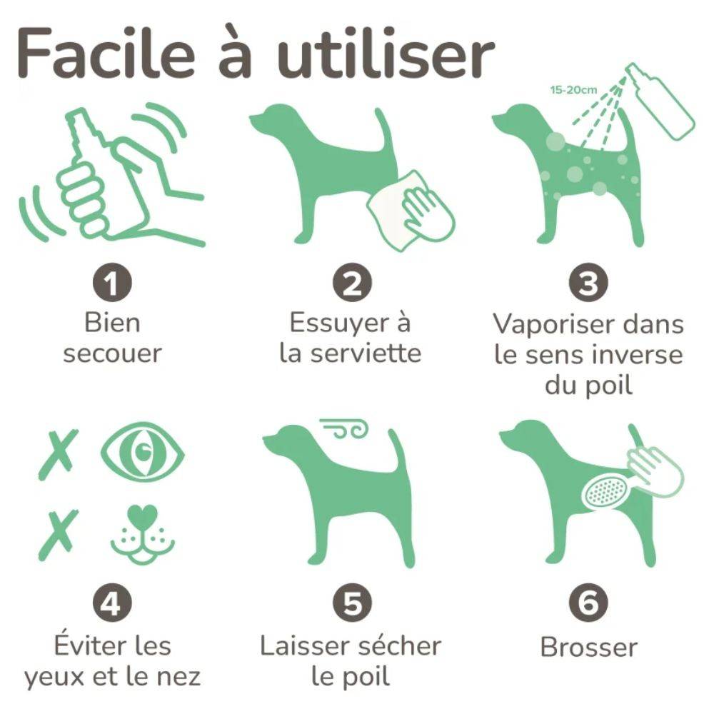 Spray Chien Mouillé - Anti-Odeur Beaphar 250 - Image 5