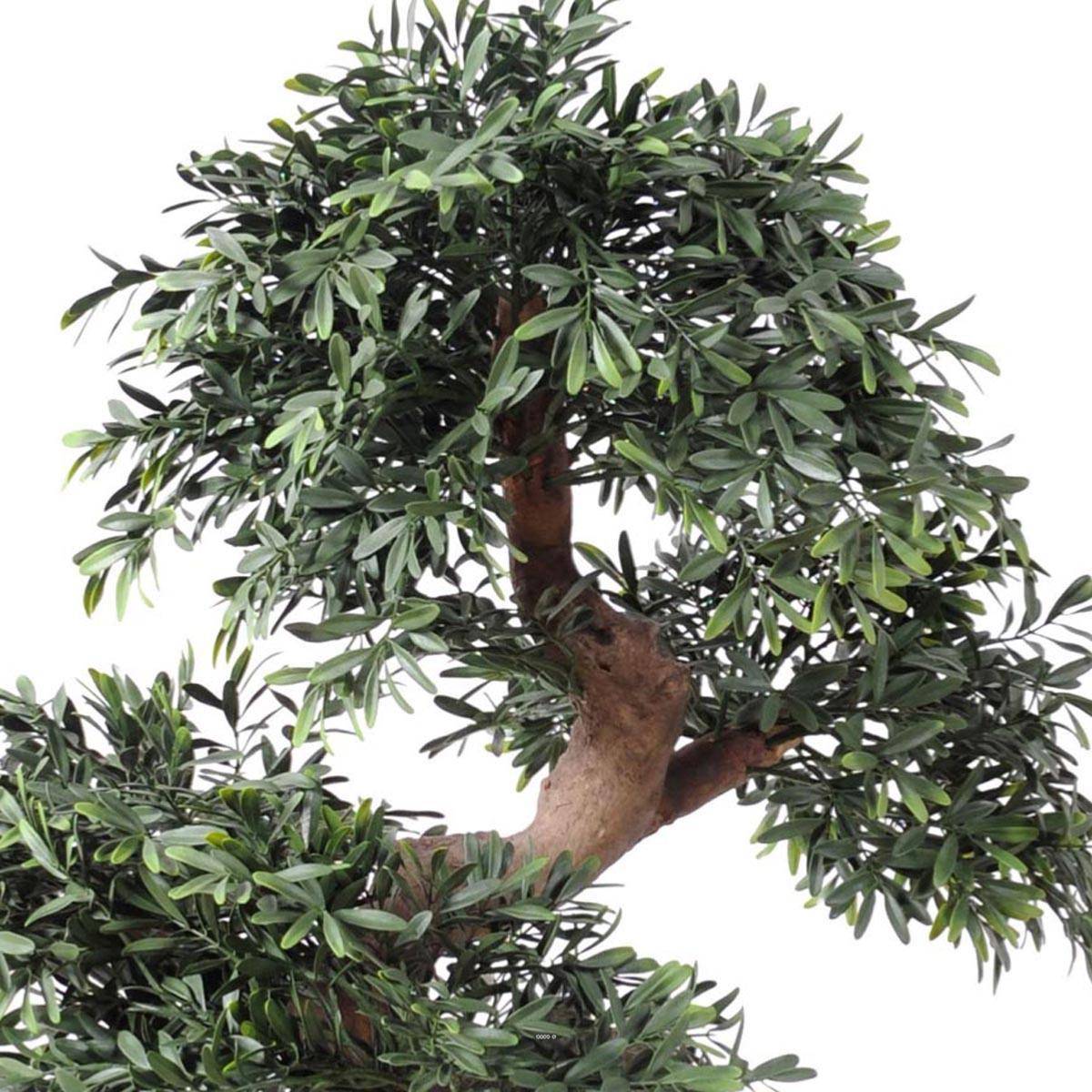 Artificielles - Bonsaï Saule Noir Artificiel H 70 cm D 60 cm en pot - dimhaut: H 70 cm - couleur: Vert - Imagen 2