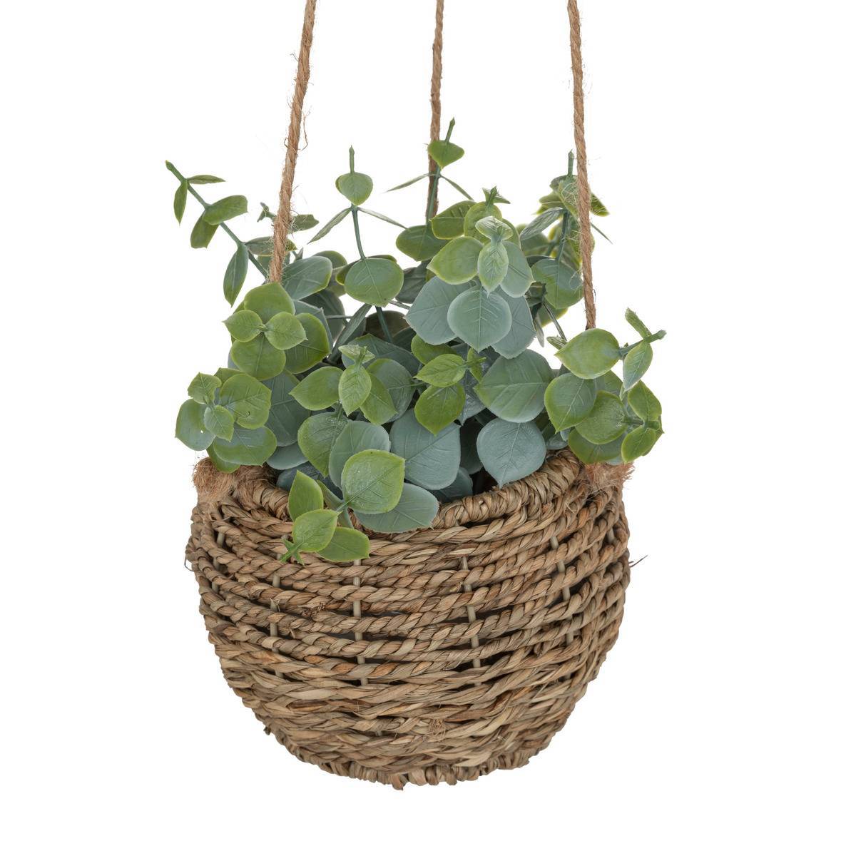 Atmosphera - Plante Zoe à suspendre H17cm - Atmosphera Créateur d'intérieur - Imagen 4