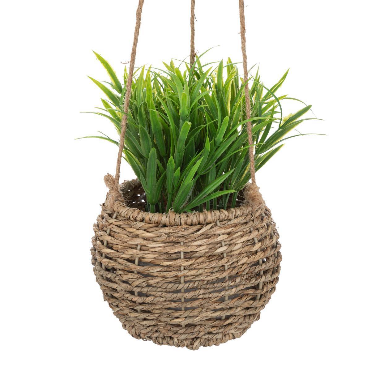 Atmosphera - Plante Zoe à suspendre H17cm - Atmosphera Créateur d'intérieur - Imagen 1